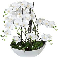 CREATIV GREEN Phalaenopsis Künstliche Orchidee - 68cm, Weiß