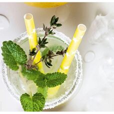 EXPRESS KÜCHEN Cocktail Rückwand - Küchen Dekoration