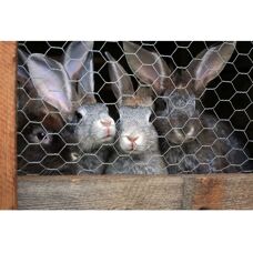 AQUAGART 200m Sechsecknetz-Zaun für Tiere & Garten