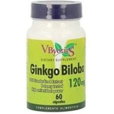Vbyotics Ginkgo Biloba 120mg - Kognitive Unterstützung
