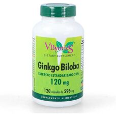 Vbyotics Ginkgo Biloba 120mg - Kognitive Unterstützung