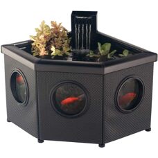 Blagdon Affinity Corner Pond - Pond