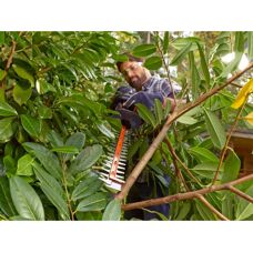 Black & Decker BEHTS501 Hedge Trimmer - 60cm, 600W, Lightweight