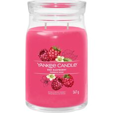 Yankee Candle Grote Aardbeibes Large Pot - Geur, 567g