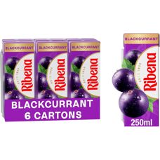 Ribena Blackcurrant Juice - Fruit Drink - 24 Cartons