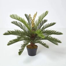 Homescapes Green Sago Palm Artificial Cycas Plant - 75cm