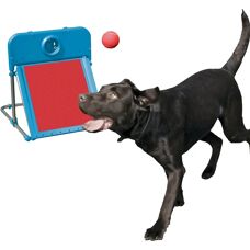 Rosewood Flyball Box for Dogs - Dog Agility Equipment