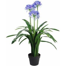 Leaf Agapanthus Blue Flower Plant - Artificial Indoor Decor