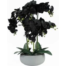 Leaf 60cm Black & White Ceramic Orchid Planter - Planter