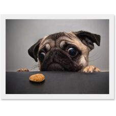 Artery8 - Animal Photo Pug - Framed - A4 - Framed Wall Art