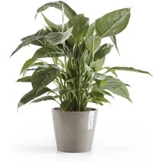 Vaso in plastica grigia Ecopots Amsterdam - 20cm