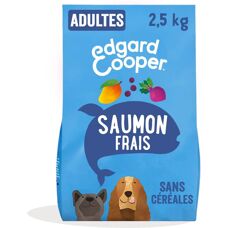 Marque Modèle - Ampoule en verre - 400ml