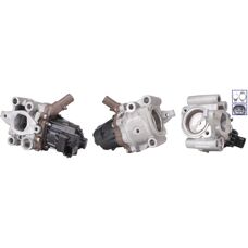 DRI 717730184 EGR-Ventil - elektrisch mit Dichtungen