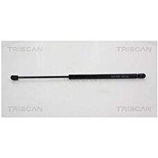 Triscan Gasveer - 81771-2r210, 81770-2l201, 81770-2l211, 8710 43228 - Gasveer