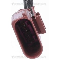 TRISCAN Model 5710476326218 - Oxygensonde
