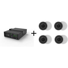 Vivolink AUDIOPACK4 - Subwoofer con altoparlanti da soffitto