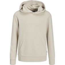 Hettegenser - Moonbeam - Normal Passform - Jack & Jones