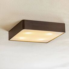 Euluna Zwarte Stalen Glazen Plafondlamp - Verlichting