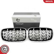 ESEN SKV 66SKV293 - Radiatorrooster voor BMW X5