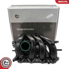Esen Skv 49SKV087 Inlaatmodule voor VW Polo Golf 7