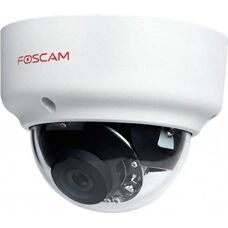 Foscam D2EP Beveiligingscamera - Dome IP voor buiten