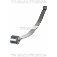 TRISCAN 8765 16049 Bagaksel fjeder - Fjedergruppe