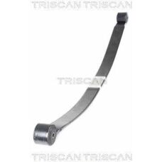 TRISCAN 8765 16055 - Bagakselbladfjedre - Ford