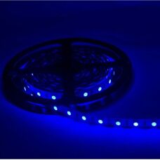 Ruban LED SILAMP 12V 5M Bleu IP54 SMD 2835 60LED/m - Publicité
