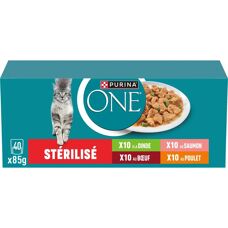 Purina ONE Kattenvoer - Meerdere Smaken - 40 Stuks