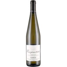 Planeta Eruzione 1614 Carricante - Vino Bianco - 75cl