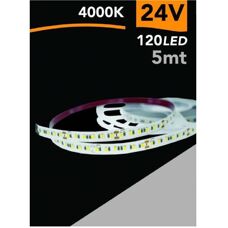 Trade Shop - 2835-24v-5mm - 5 Mt - 24V - nastro LED