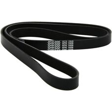 Dayco 6PK1606 Keilrippenriemen - Keilrippenriemen