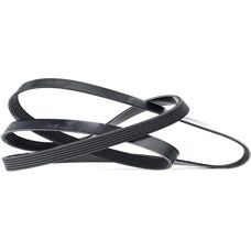 Dayco 6PK1565 Keilrippenriemen - Keilrippenriemen