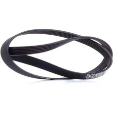 Dayco 6PK975 V-vyörärengas - V-bälte