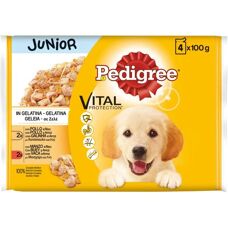 Ração úmida Pedigree Junior Frango e Arroz em Gelatina