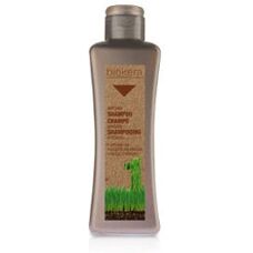 Shampoo de argan Salerm - Revitalizante Unissex 300ml