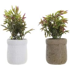 Decoratieve Plant DKD Home Decor - 2 stuks - 16x16x21cm