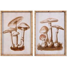 Obraz Grzyby DKD Home Decor - 50x70cm - Sztuka z Kryształu