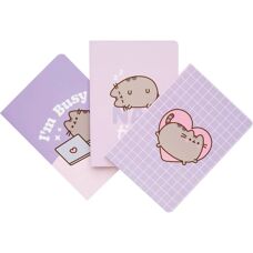 Ensemble de 3 cahiers Erik Pusheen Moments Collection - Publicité