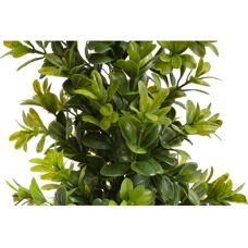 BOTANIC-HAUS Künstliche Zimmerpflanze - Buxus im Topf - Grün