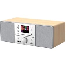 GoGEN - IR 267 BTDAB - Stříbrno-hnědá - CD - internetové rádio