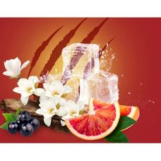 Dezodorant Old Spice Tigerclaw - Mężczyzna