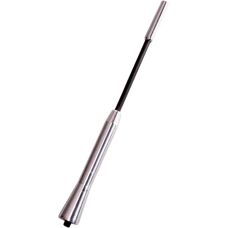 CARPOINT Modello 8711293045839 Antenna cromata - Antenna