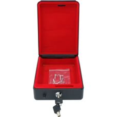 VIDAXL Autokist in staal 22,5x16x7,5cm Zwart - Autokist