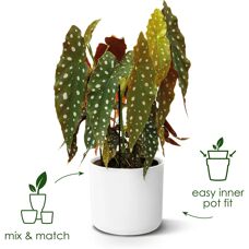 Elho Rosa Plast blomsterpotte - B.for Soft 14cm Indendørs