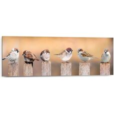 Reinders! Deco Panel 30x90 Bird Family - Wandbild