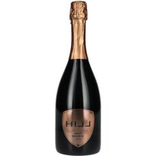 Leo Hillinger HILL Brut Reserve 2018 - Vin mousseux - Publicité