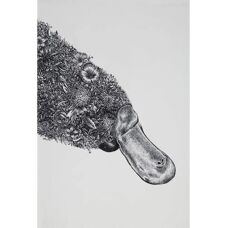 Maxwell & Williams Marini Ferlazzo - Wildtiere Illustration - 50x70cm - Weiß