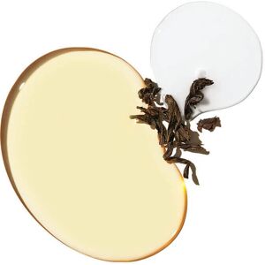 Paul Mitchell Tea Tree Special Detox Kombucha Rinse - Hair Rinse Paul Mitchell Tea Tree Special Detox Kombucha Rinse - Hair Rinse