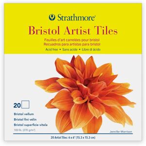 Strathmore 062105972 - Multiple colors - 15.2 x 15.2 cm - 20 pcs - Art Paper Strathmore 062105972 - Multiple colors - 15.2 x 15.2 cm - 20 pcs - Art Paper